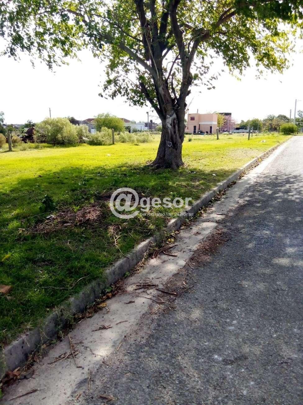 Image4