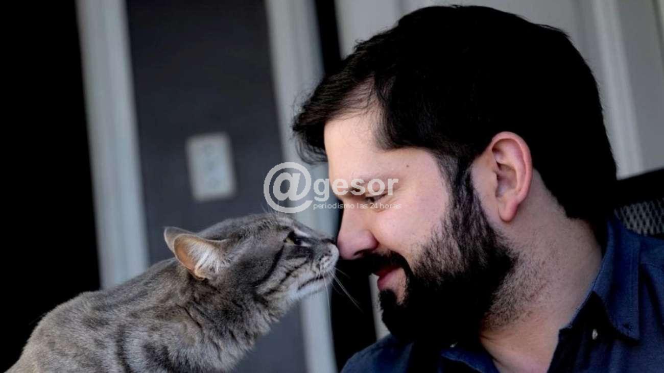 En la población quedó la sensación de que este gobierno se caracterizó por los innumerables escándalos de corrupción de todo tipo, sobre todo los vinculados al siempre vil dinero.