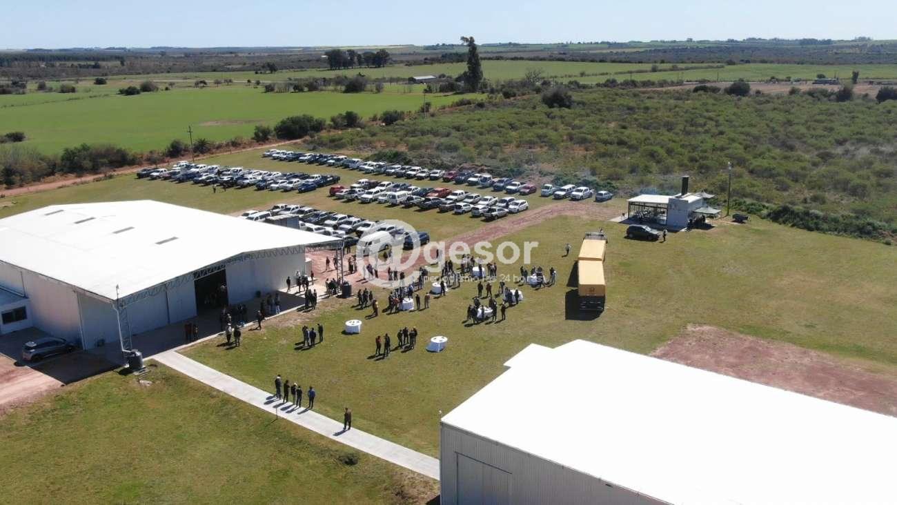 Image2
