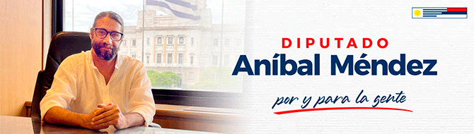 anibal mendez - diputado