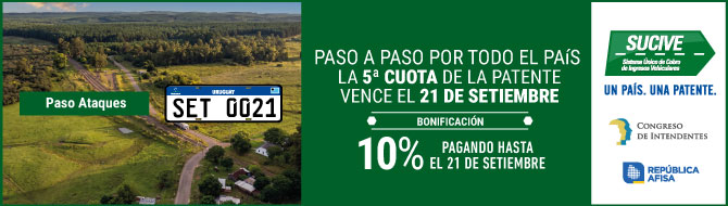 sucive